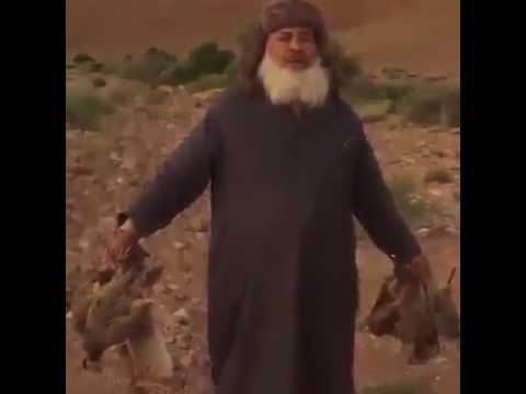 سياح من الخليج يصطادون "عشوائيا" جنوب المغرب - فيديو