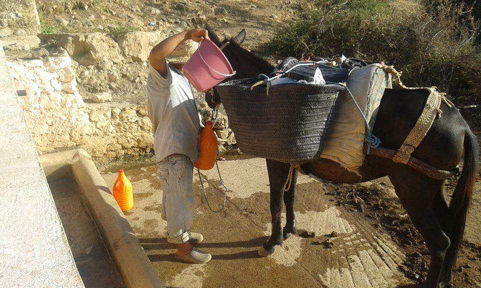 هذه أكبر المخاوف من حدوث أزمة عطش بالمغرب