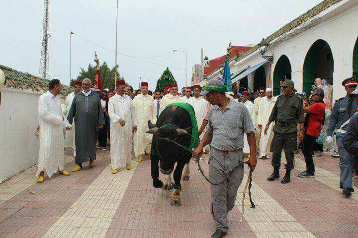 صورة تَخلق الجدل..عامل الجديدة يترأس وفدا لتقديم ذبيحة لضريح!