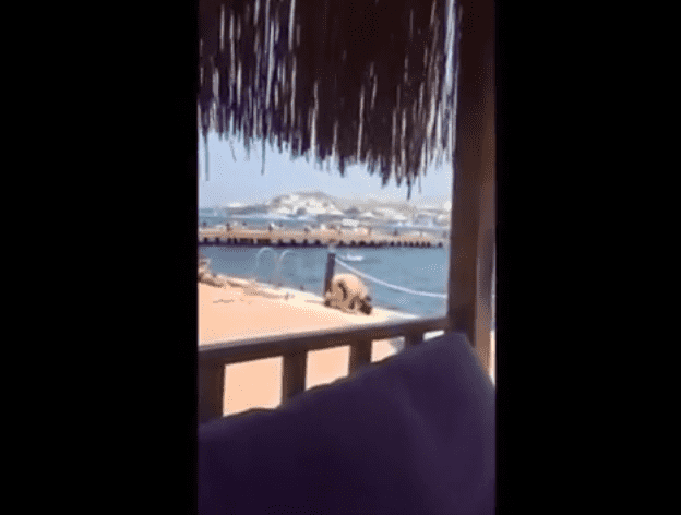 فيديو يثير الجدل..فتاة تصلي بملابس السباحة في الشاطئ!