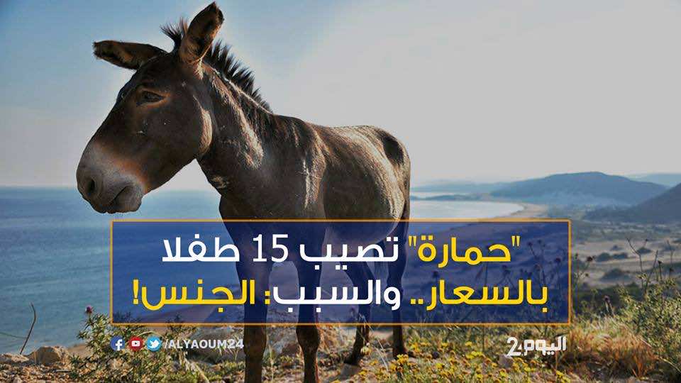 "حمارة" تصيب 15 طفلا بالسعار.. والسبب: الجنس! - فيديو