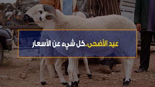 عيد الأضحى.. كل شيء عن الأسعار - فيديو