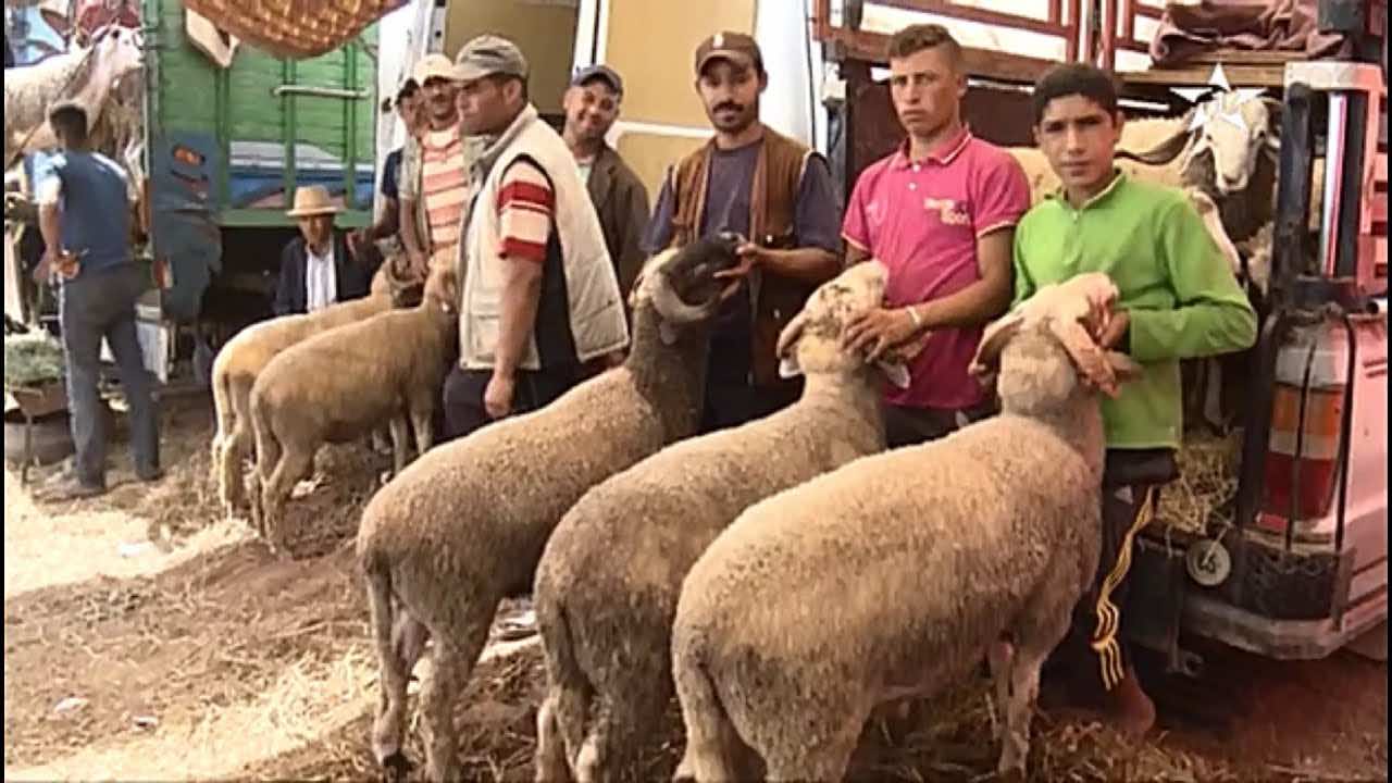 تحديد موعد عيد الأضحى "فلكيا"