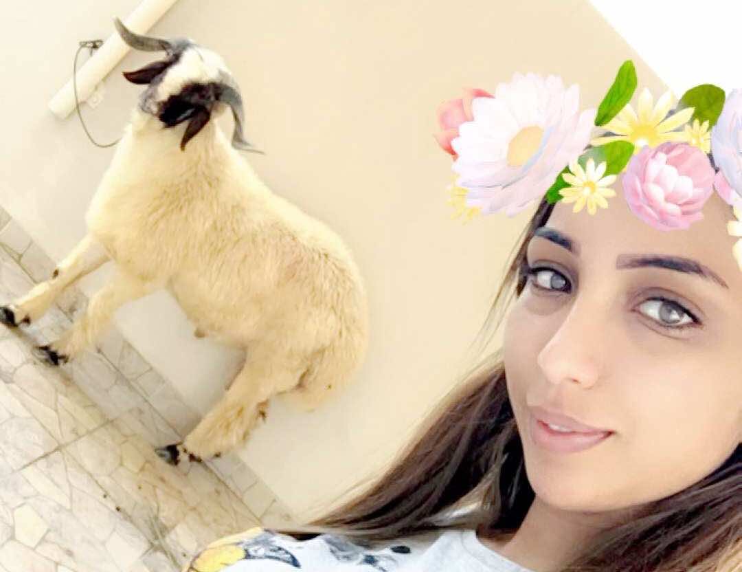باطمة: الحوالة في البحرين صغيورين.. ولا حول ولا قوة إلا بالله- فيديو