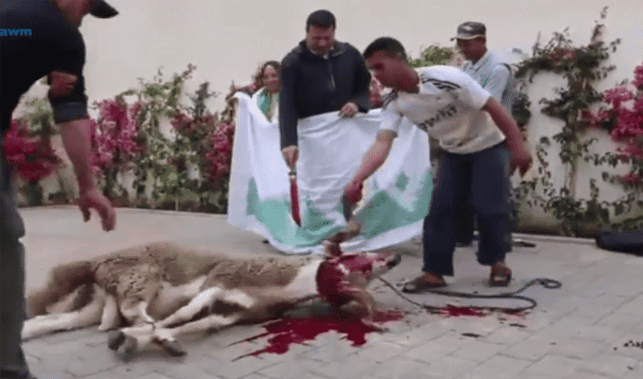 فنان مغربي يثير سخرية "فايسبوك" لتشبهه بالملك في نحر الأضحية - فيديو