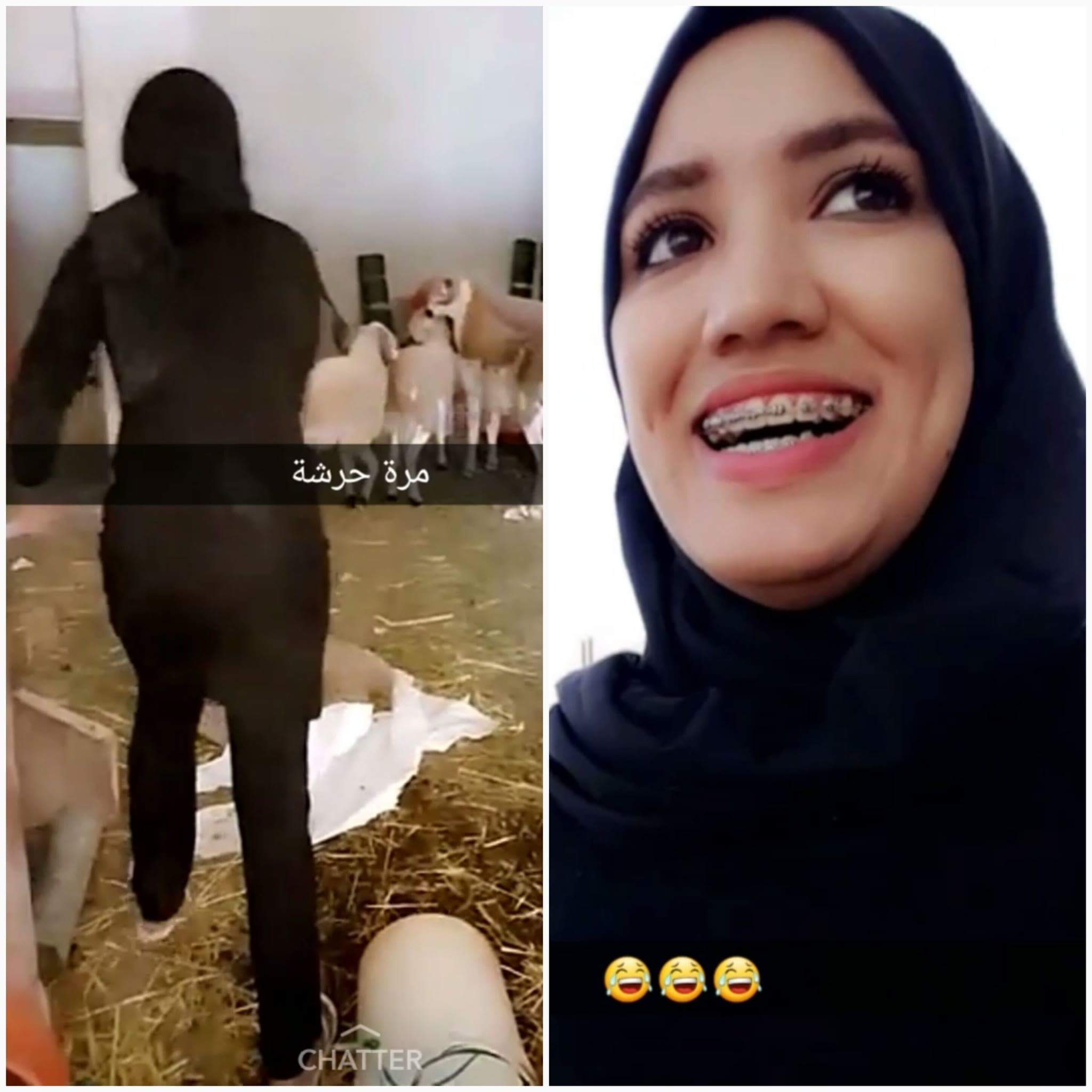 سارة أبوجاد تنجو من نطحة خروف صباح العيد-فيديو
