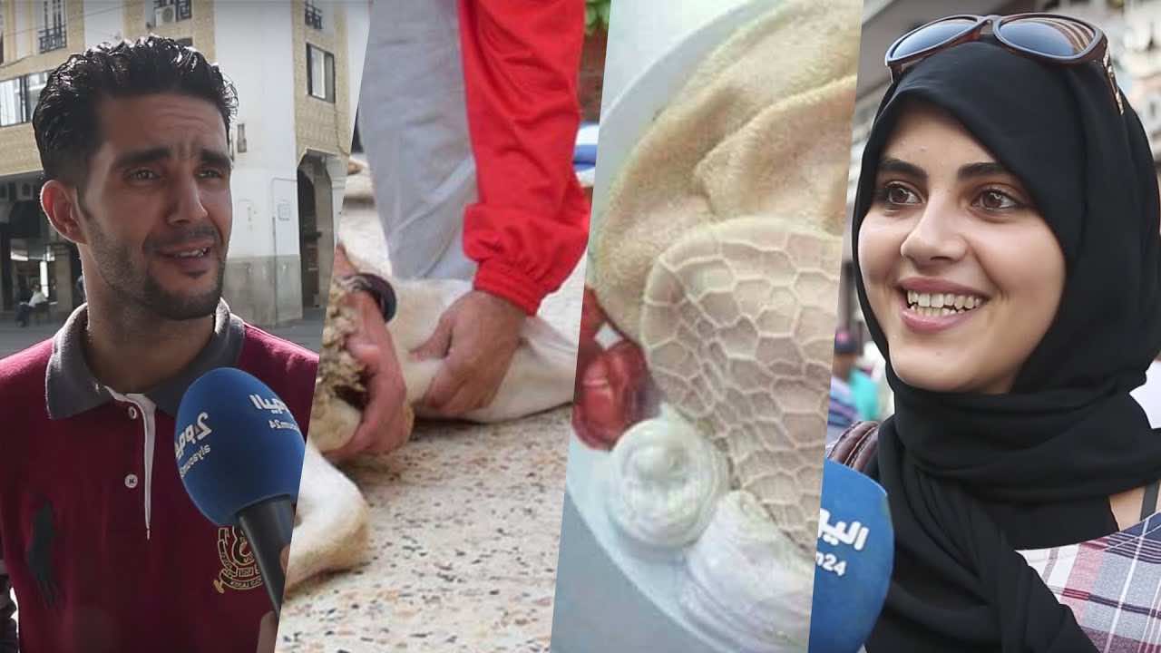 زوج يكسر يد زوجته بسكين لرفضها غسل ''الدوّارة'' في العيد!