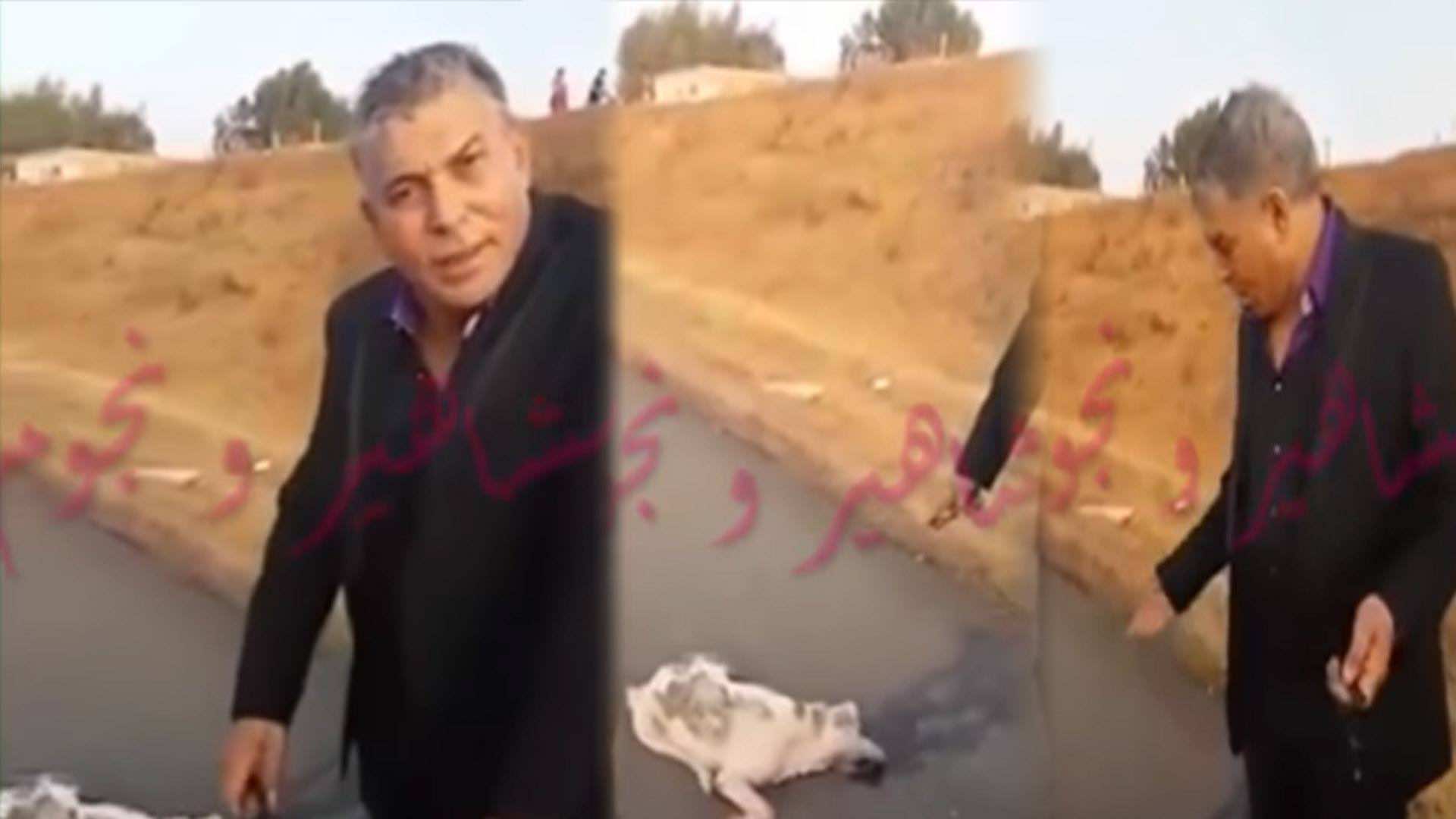 الستاتي يخلق ضجة بسبب فيديو "كسيدة الكلب" ويبرر: كنت أمزح - فيديو