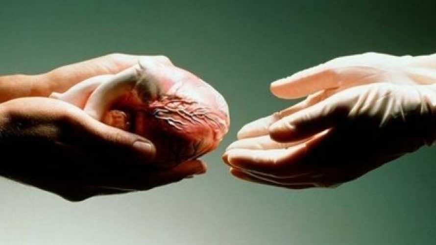 50 شخصا تبرعوا بأعضائهم في يوم واحد بالرباط