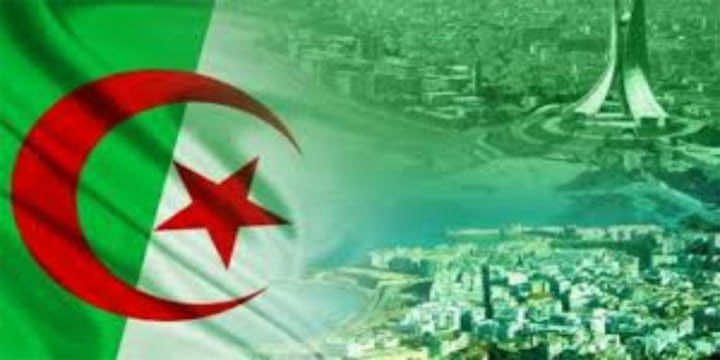 مسؤول جزائري بقر يتخلف اقتصاد بلاده في الرقمنة بالمقارنة مع المغرب وتونس