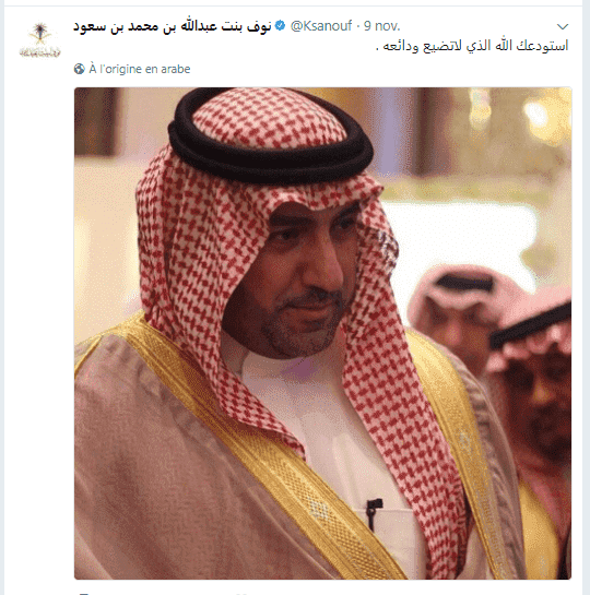 أميرة سعودية تتضامن مع أقربائها المعتقلين