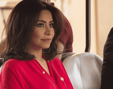شرين "تركل" رجل أمن بحفلها بالسويد-فيديو