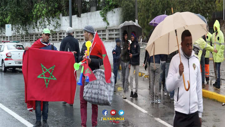 جماهير: وراء "الأسود" تحت الأمطار من أجل التتويج - فيديو