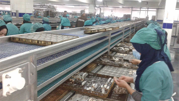 مسؤولون يدافعون عن استثمارات المغرب في الصيد البحري بالصحراء