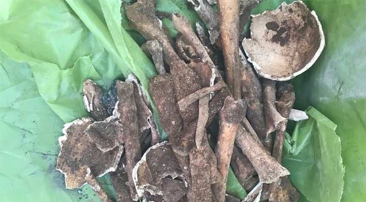 العثور على أشلاء بشرية في عملية حفر لإنجاز أشغال بالدار البيضاء- الصور
