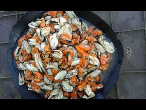 وزارة الفلاحة تمنع تسويق "بوزروك" بأكادير
