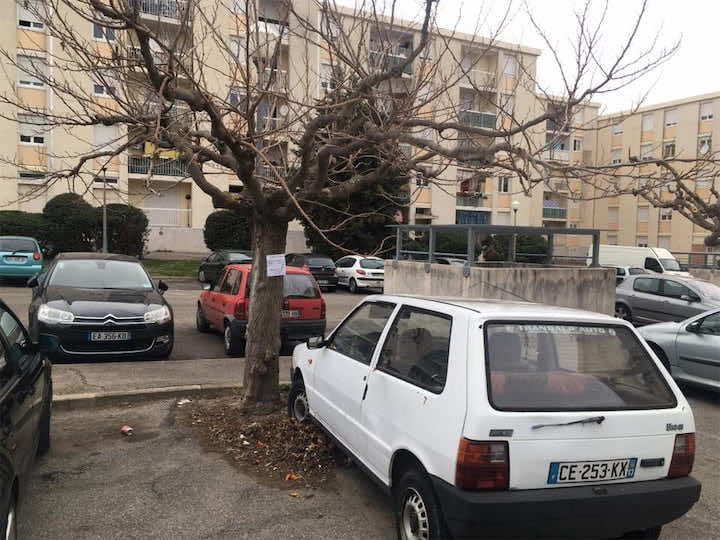 السلطات الفرنسية تعلق رسالة في جذع شجرة.. والسبب غريب!
