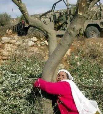 قلب " لميمة" يطير من مكناس إلى فلسطين