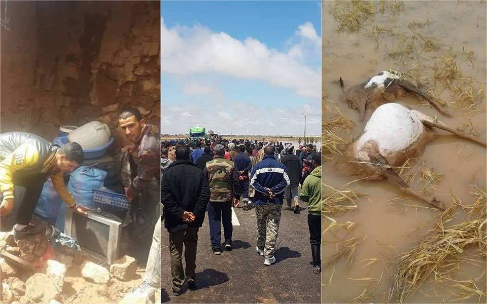 السيول تُهلك الزرع والماشية والمنازل بالسراغنة وعامل الإقليم ينزل لتهدئة الاحتجاجات -فيديو وصور-