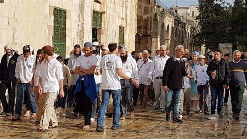 استباقا لمليونية العودة.. 1600 مستوطن ينفذون اقتحاما للأقصى هو الأضخم منذ النكبة -فيديو-