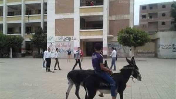 تلميذ يجلب حمارا إلى ثانويته ردا على أستاذ قال له:"جيب لحمار تاع بوك" -فيديو