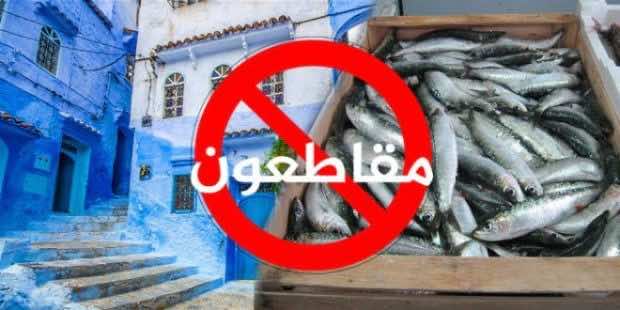 بعد حملة مقاطعة السردين.. سمك " التونة" ب4 دراهم في الأسواق
