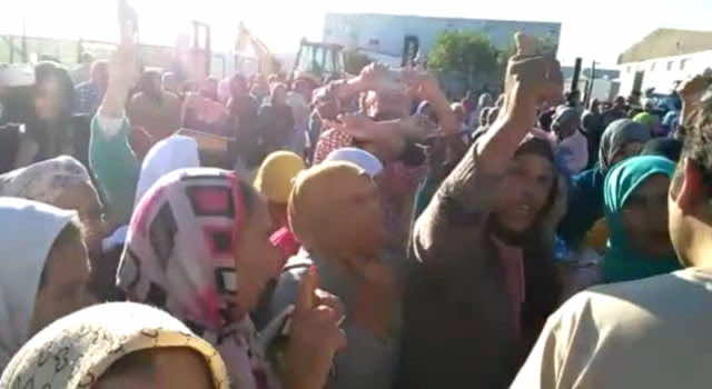 خطير .. العمالات الموسميات المغربيات يخرجن في "تمرد" ضد الاعتداءات عليهن في الحقول الإسبانية- فيديو