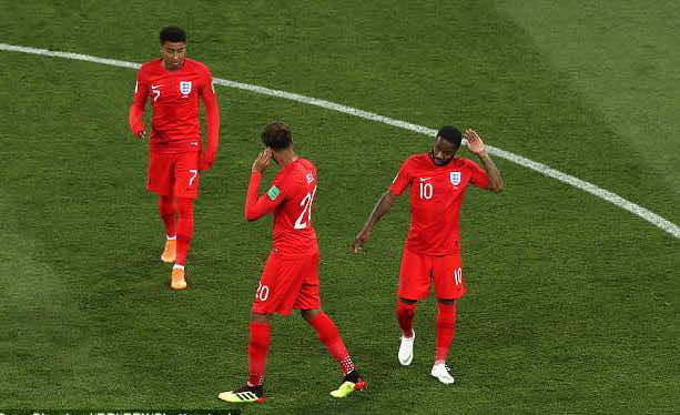 أسراب البراغيث تهاجم منتخبي تونس وإنجلترا خلال مباراة كأس العالم - صور وفيديو