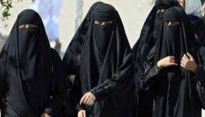 مجلس الشيوخ الهولندي يقرّ قانونًا يحظر ارتداء النقاب في المنشآت العامة‎