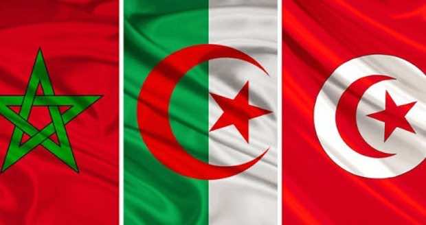 حلم كروي يوحد المغرب الكبير.. بعد الجزائر تونس منفتحة بشأن ملف مشترك لاستضافة مونديال 2030