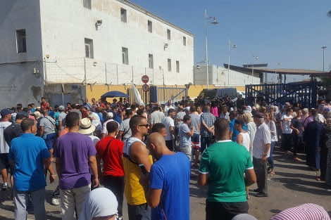 خبر سار لمسلمي مليلية.. الأكباش المغربية ستدخل الثغر المحتل ابتداء من هذا التاريخ