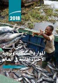 المغرب في الرتبة 13 ضمن أكبر الدول المنتجة للأسماك