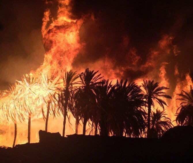 النيران تحول واحات طاطا إلى رماد..اختناق 9 أشخاص وأخنوش يبتلع لسانه