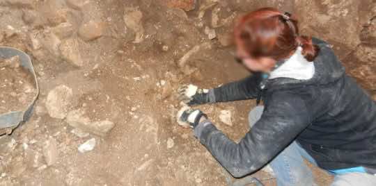 اكتشاف أثري يثبت استيطان أمريكا قبل 20 ألف عام