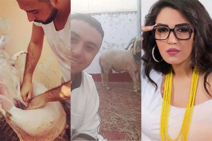 نجوم الأغنية المغربية صبيحة العيد .. بدر سلطان "كيسلخ" ولمنور تستمتع بالطرب الأندلسي -فيديو/صور