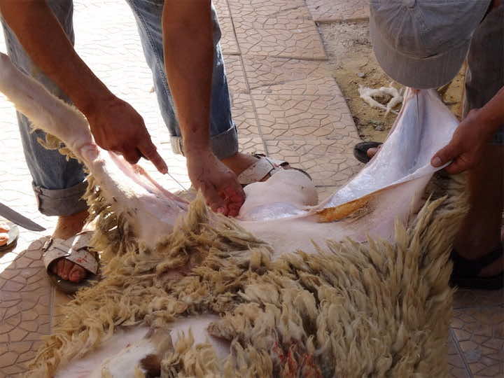 طقوس أضحية العيد.. المسكوت عنه في عملية توزيع الأدوار بين المرأة والرجل في الشمال