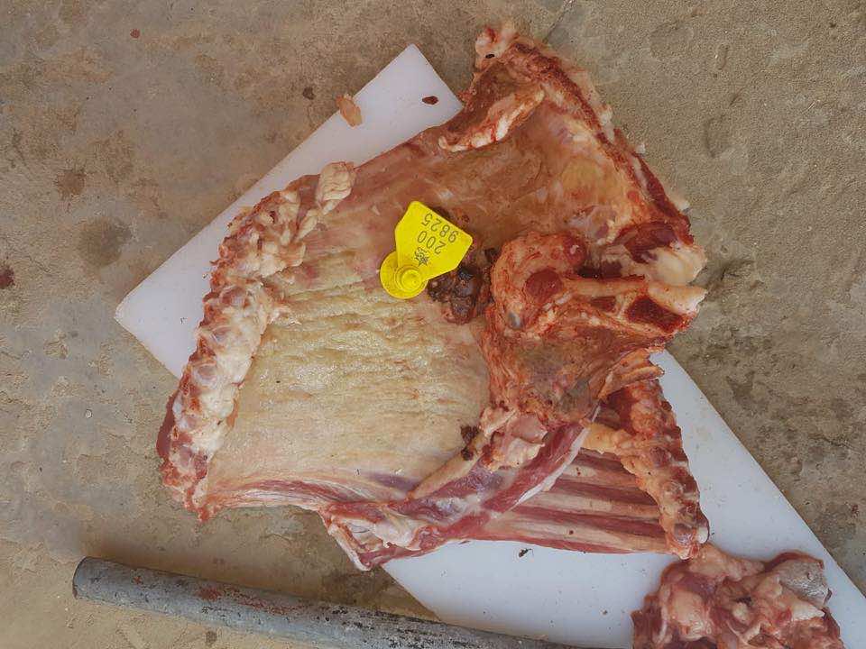حصيلة العيد.. "ONSSA" فحصت 2600 سقيطة وضيعات فلاحية في قفص الاتهام
