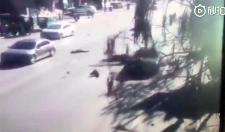 عاجل..5 قتلى و18 جريحا إثر حادث دهس مجموعة من الطلاب في الصين ـ صور