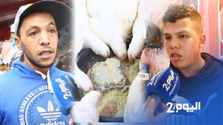 أسعار الدجاج تقفز إلى 22 درهما.. ومواطنون: قاطعوه.. خليها تقاقي!!- فيديو