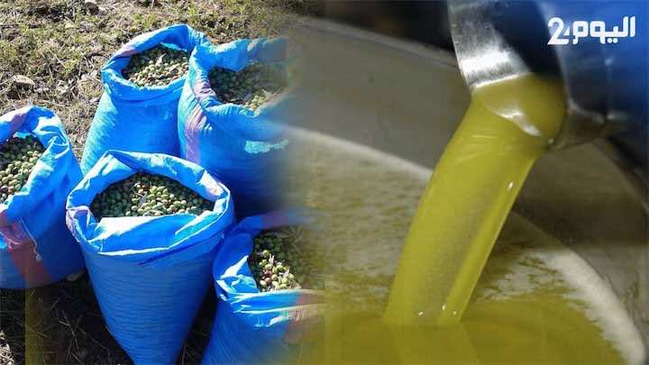 تجارة زيت الزيتون المغشوشة.. "اليوم 24" يكشف آخر طرق النصب وهكذا يتم تمييز "الزيوت الحرة"