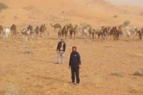 مسلسل اعتداءات الرحل في سوس يسفر عن ضحية أخرى...هاجموه بالأسلحة والمقالع والحادث فجر مواجهات