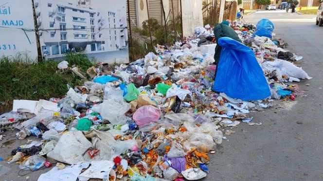 إلقاء 13 مليون طن من نفايات البلاستيك في المحيطات كل عام