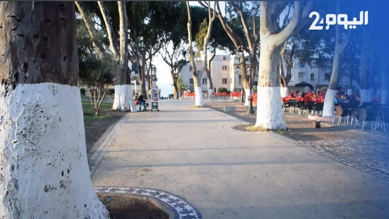 رمضان طنجة.. مقهى "حنفطة" عشق لا ينتهي-فيديو