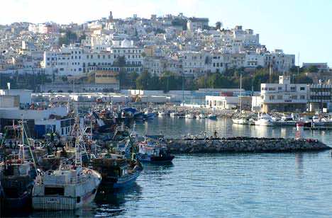 نفاذ أطنان من سمك أبو سياف بسواحل طنجة..مراكب الصيد التقليدي تحتج