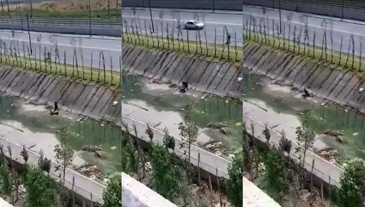 طنجة.. حملة أمنية للبحث عن "بطل" فيديو عنف تم تداوله على فيسبوك