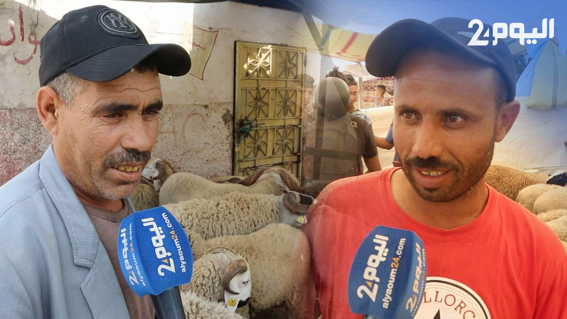 عيد الأضحى..الكسابة: "العيد هاد العام غالي والعلف هو السبب"!-فيديو