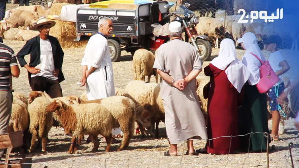 عيد الأضحى.. الأثمنة مرتفعة و"الكسابة" خائفون من العزوف -فيديو