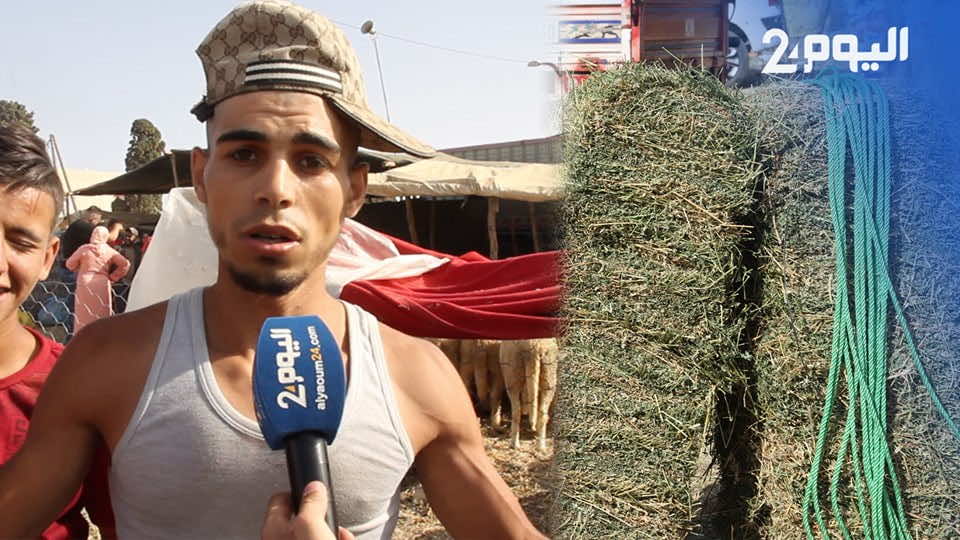 بائعو "التبن" و'القنبة": ظروفنا القاسية دفعتنا للعمل "بغينا حتى حنا نشريو حولي ونفرحو الوالدة" -فيديو