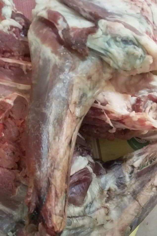 مواطنون يبلغون عن حالات متعددة لفساد لحوم الأضاحي...ومخاوف من تكرار سيناريو 2017