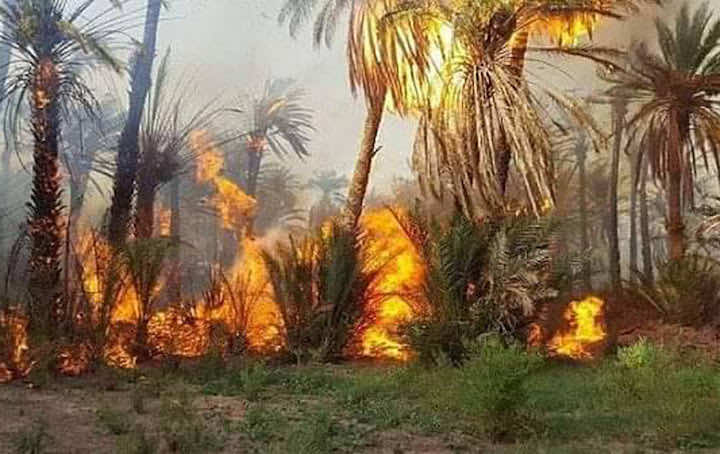 حرائق واحات الجنوب الشرقي.. فاعلون مدنيون: احتراق أزيد من ثمانية آلاف نخلة والساكنة تطالب بمعدات حديثة لإخماد الحرائق